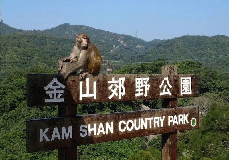 Shing Mun Country Park (Monkey Mountain), Hong Kong